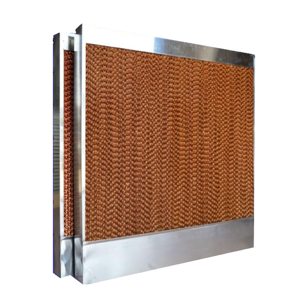 麻豆APP在线免费观看