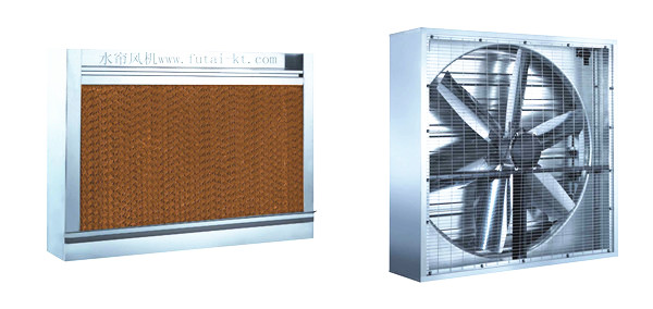 国产精品麻豆视频設計