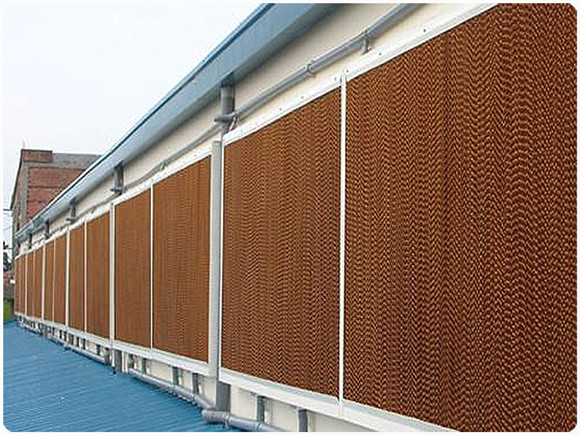 降溫濕簾與負壓風機，助力養殖場通風降溫