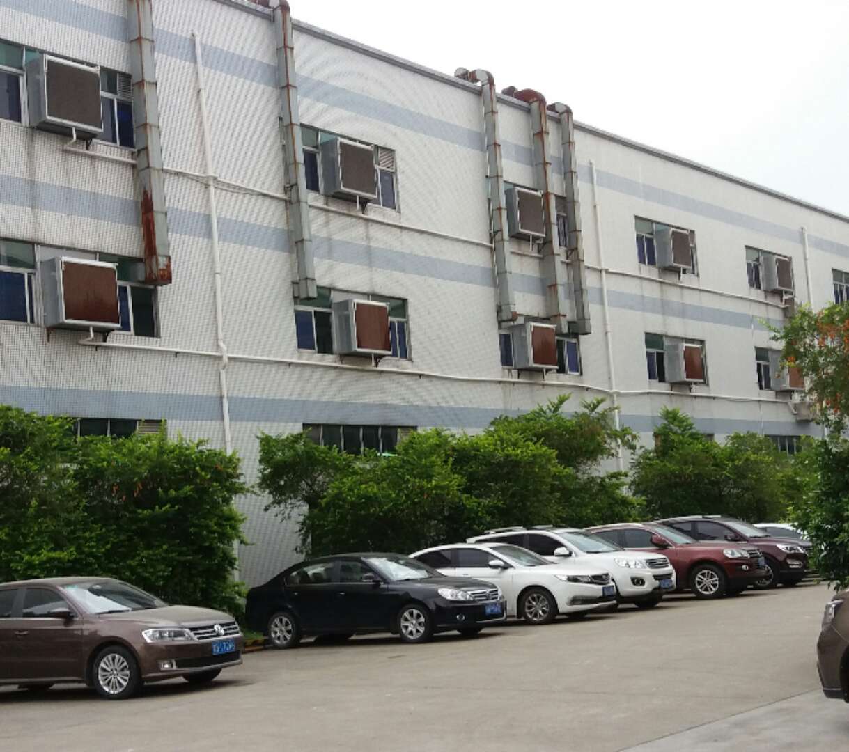 国产精品麻豆视频