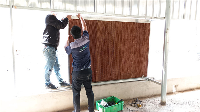 你知道国产精品麻豆视频的影響因素嗎