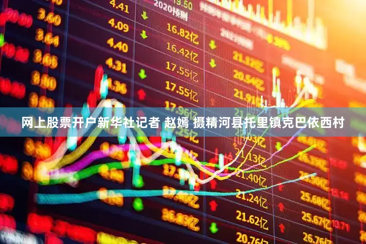 网上股票开户新华社记者 赵嫣 摄精河县托里镇克巴依西村