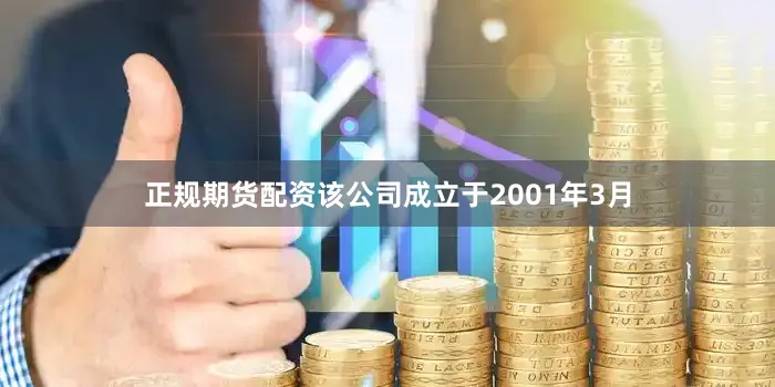 正规期货配资该公司成立于2001年3月