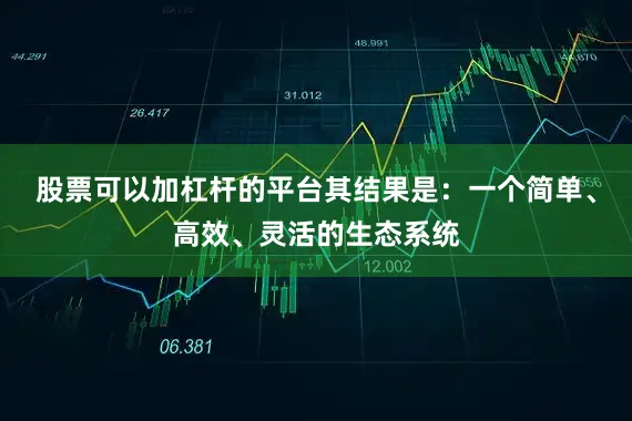 股票可以加杠杆的平台其结果是：一个简单、高效、灵活的生态系统